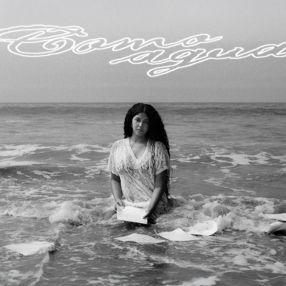 Como agua by YENDRY artwork